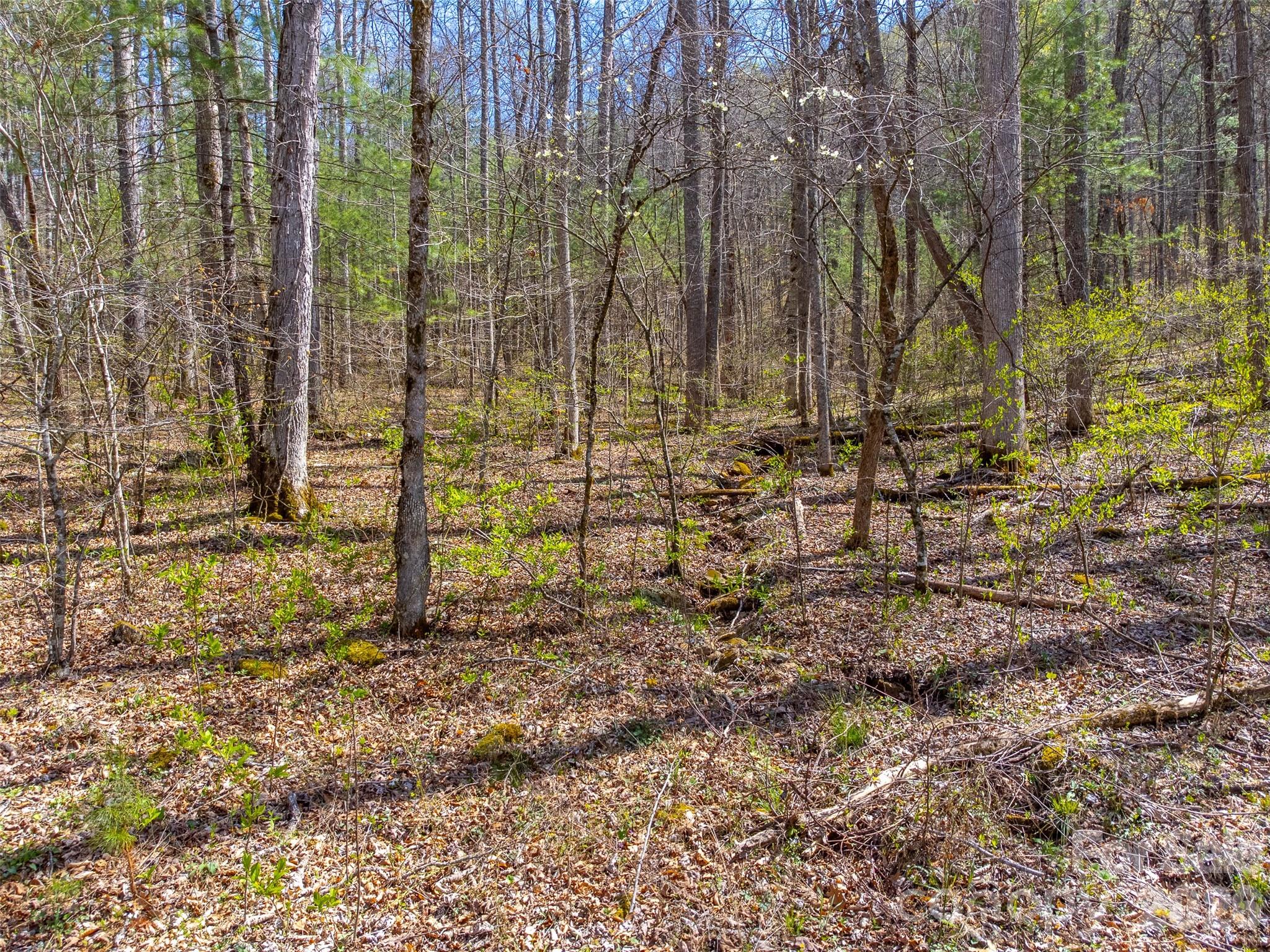 306 Cedar Creek Farm Road Tuckasegee NC 28783