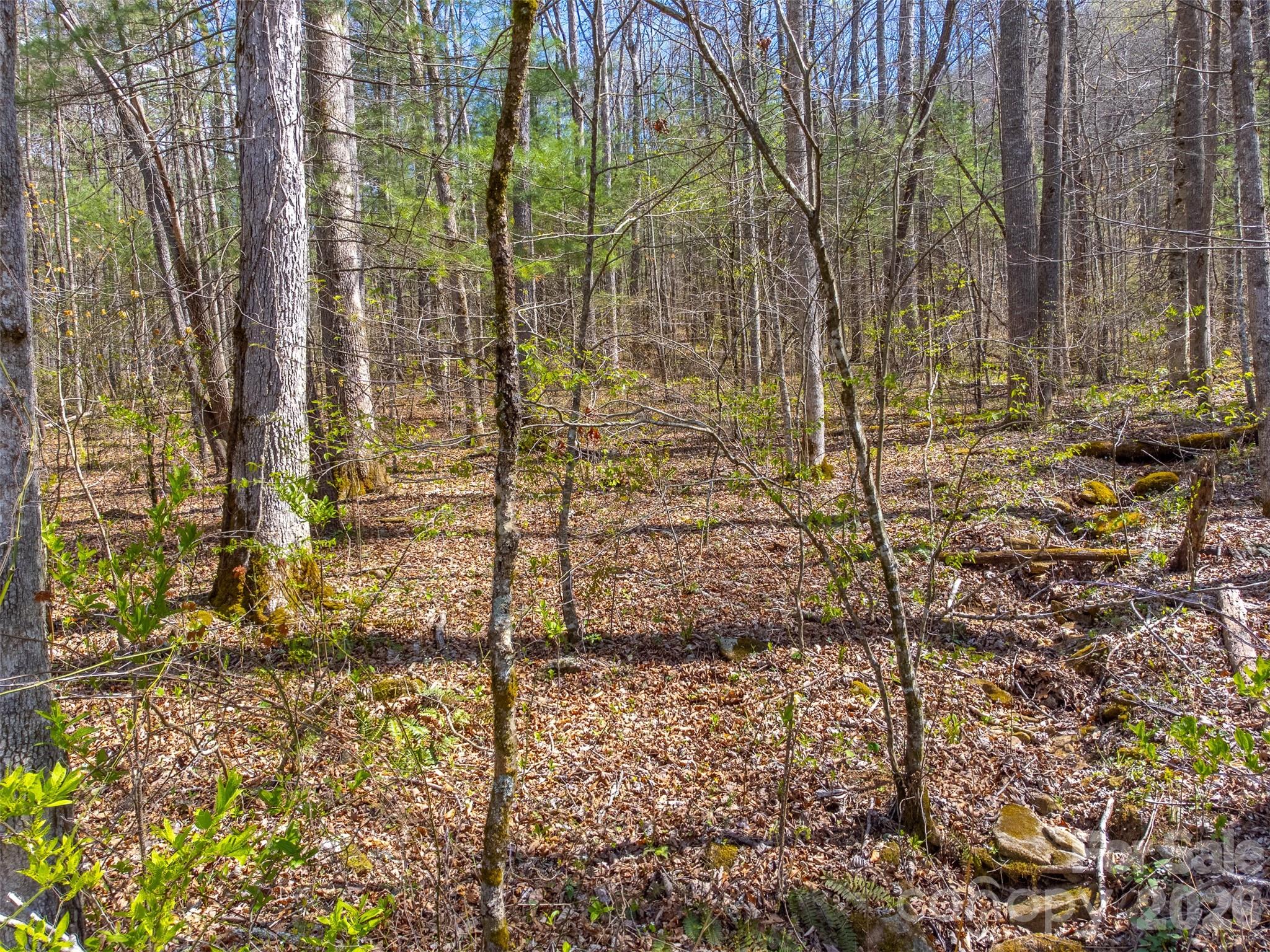 306 Cedar Creek Farm Road Tuckasegee NC 28783