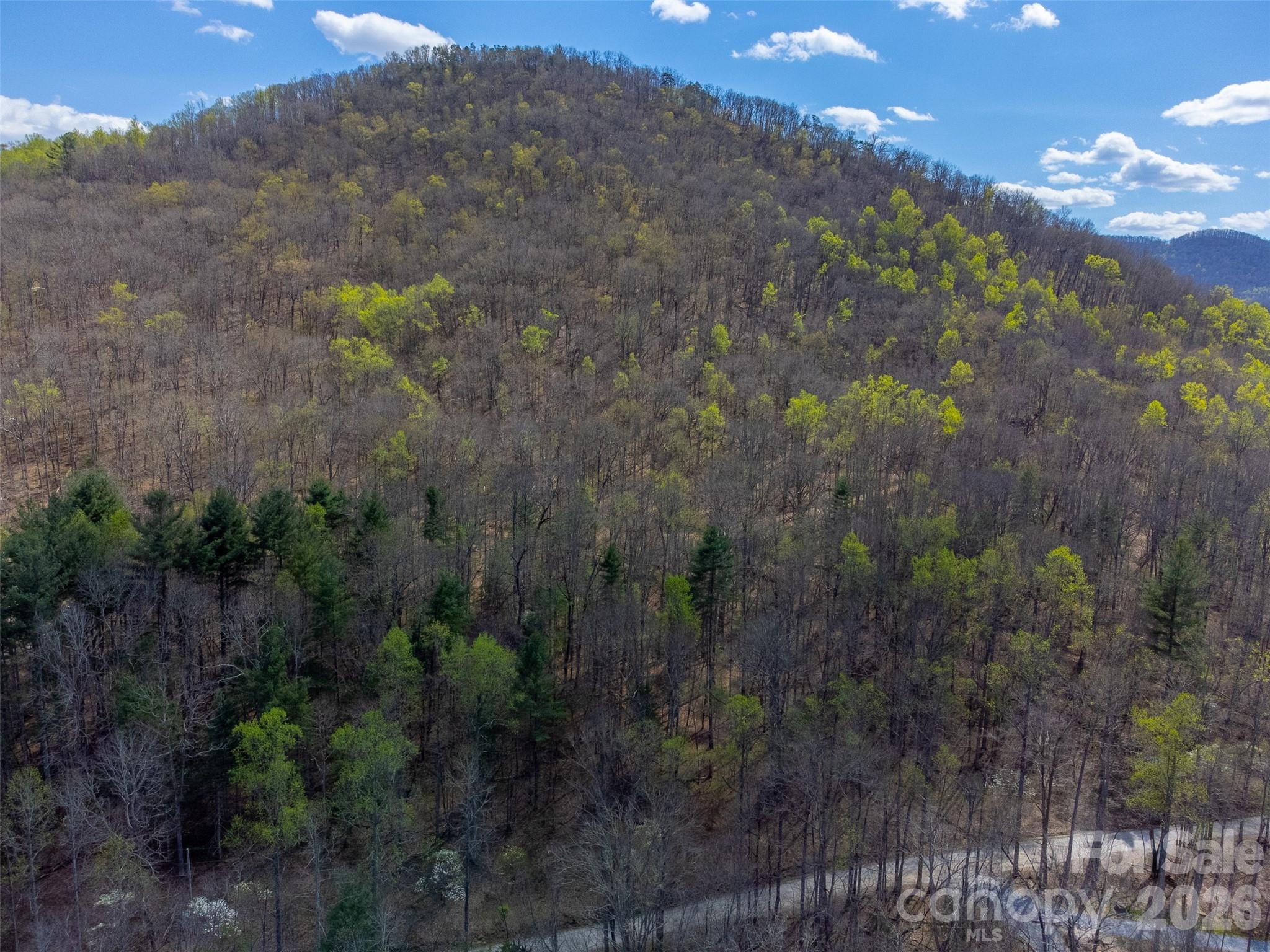 306 Cedar Creek Farm Road Tuckasegee NC 28783