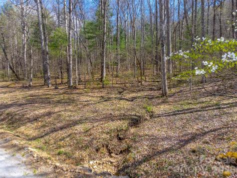 306 Cedar Creek Farm Road Tuckasegee NC 28783