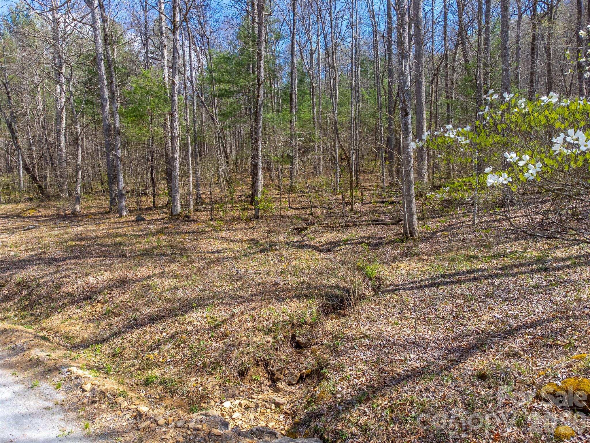 306 Cedar Creek Farm Road Tuckasegee NC 28783