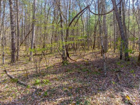 306 Cedar Creek Farm Road Tuckasegee NC 28783