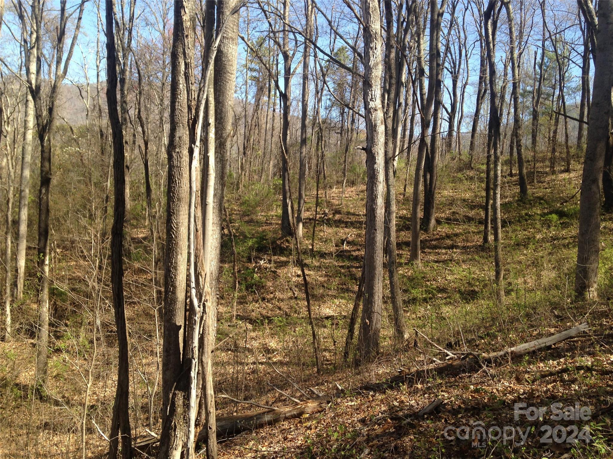 8 Worley Cove Road Canton NC 28716