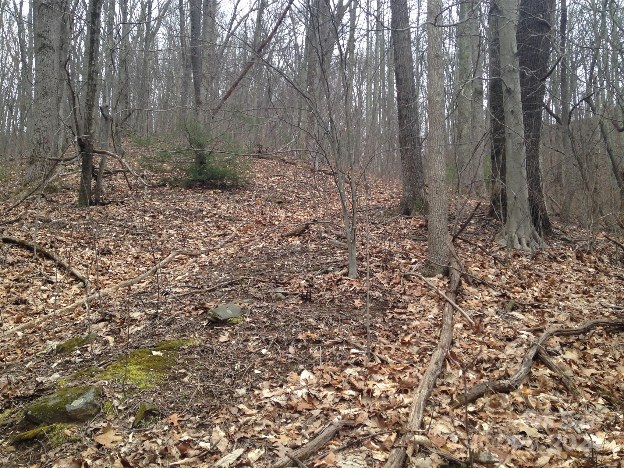 8 Worley Cove Road Canton NC 28716