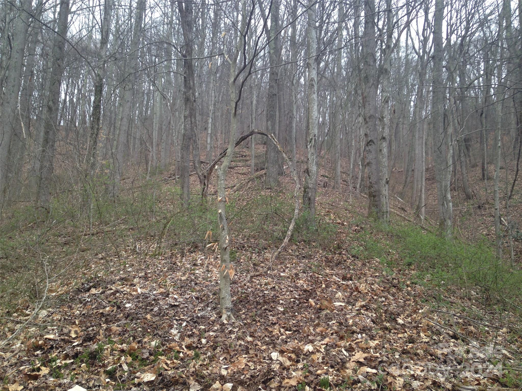 8 Worley Cove Road Canton NC 28716