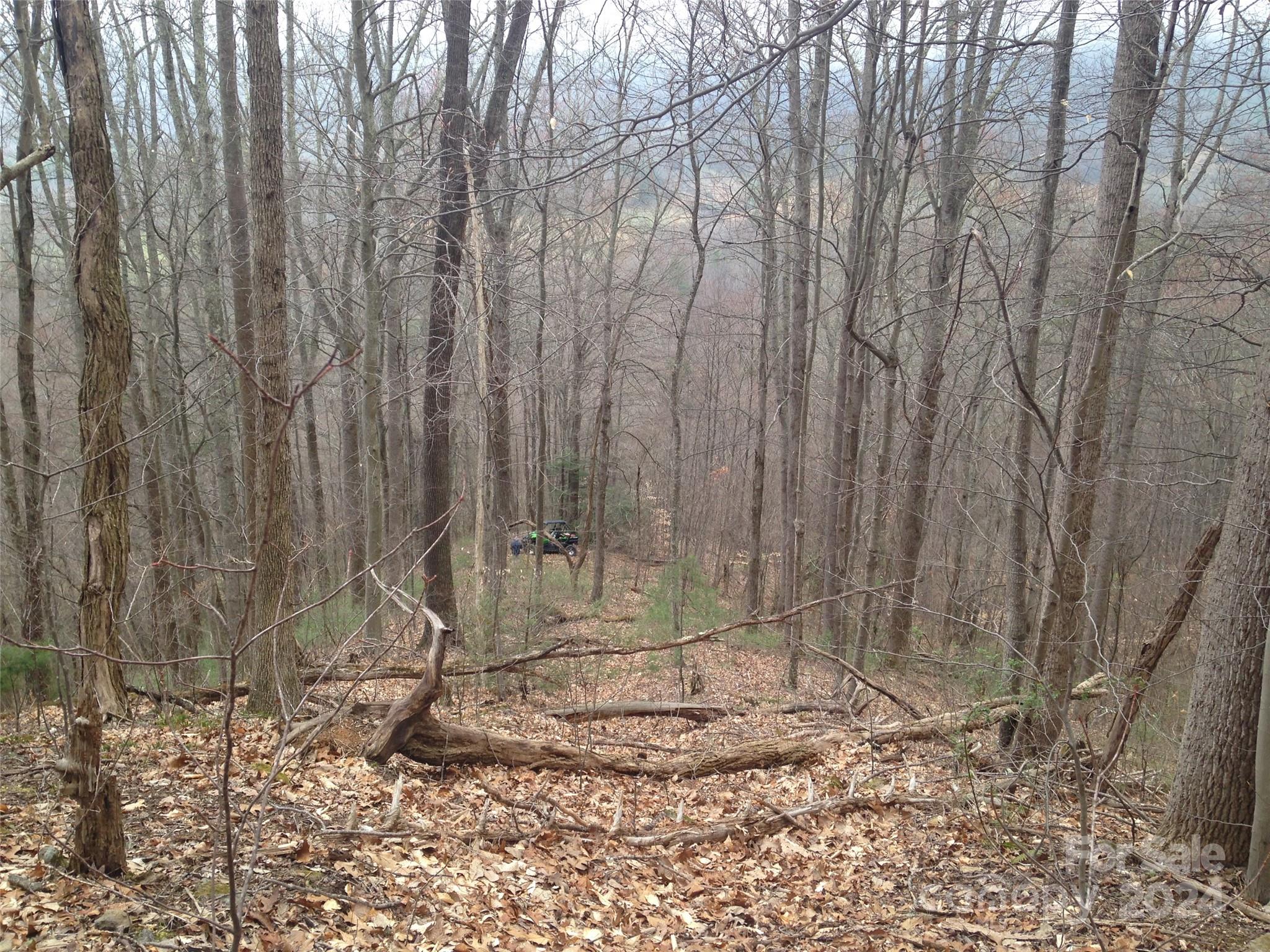 8 Worley Cove Road Canton NC 28716