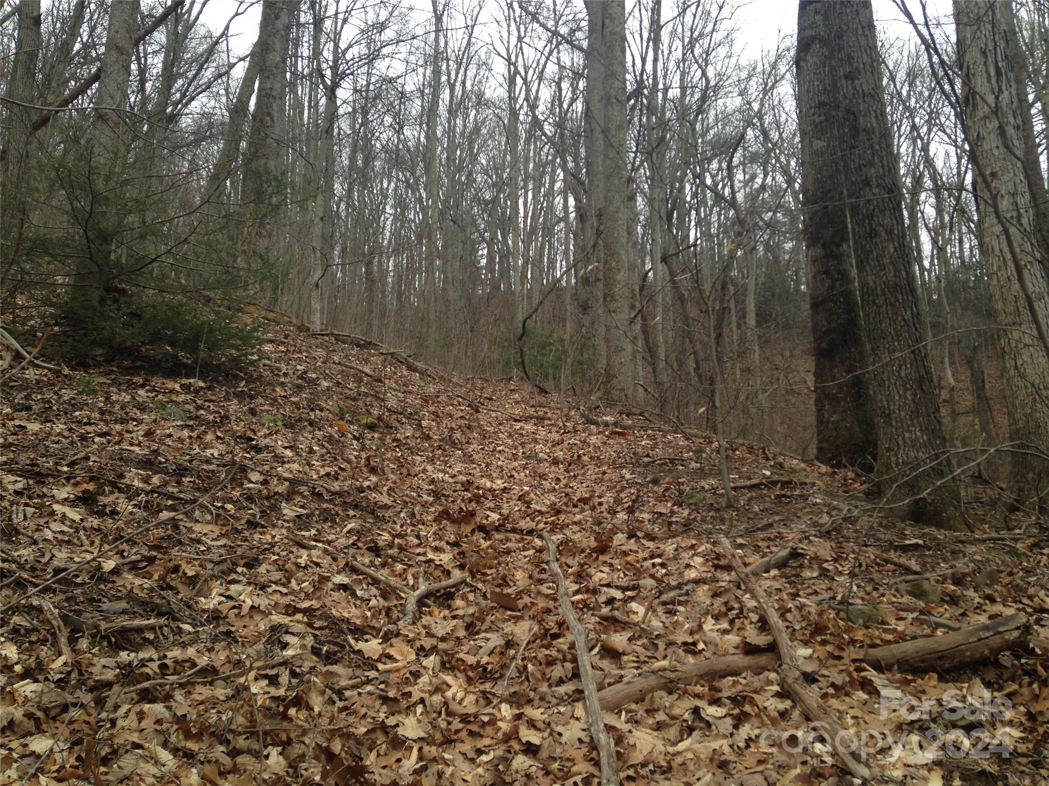 8 Worley Cove Road Canton NC 28716