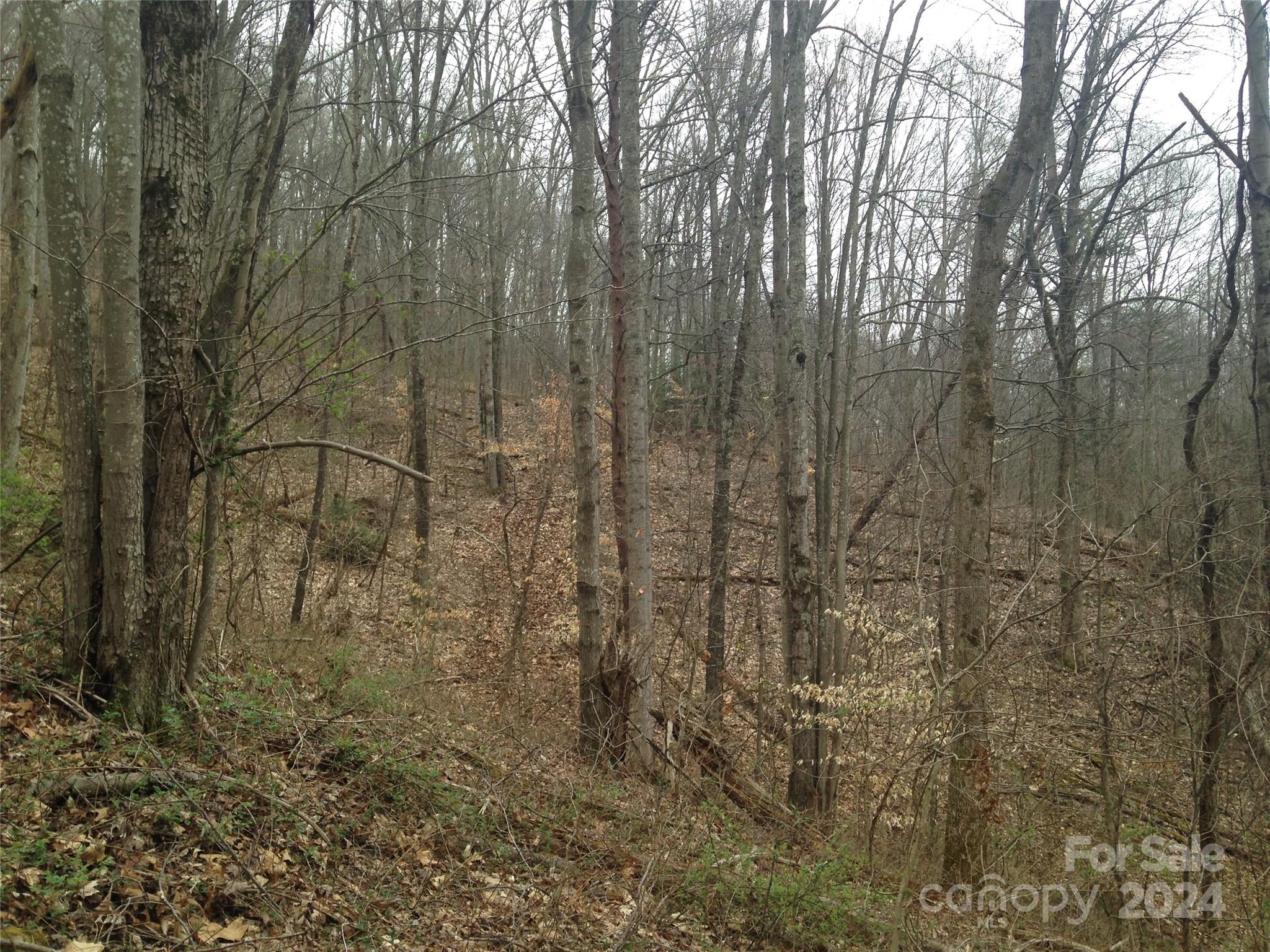 8 Worley Cove Road Canton NC 28716