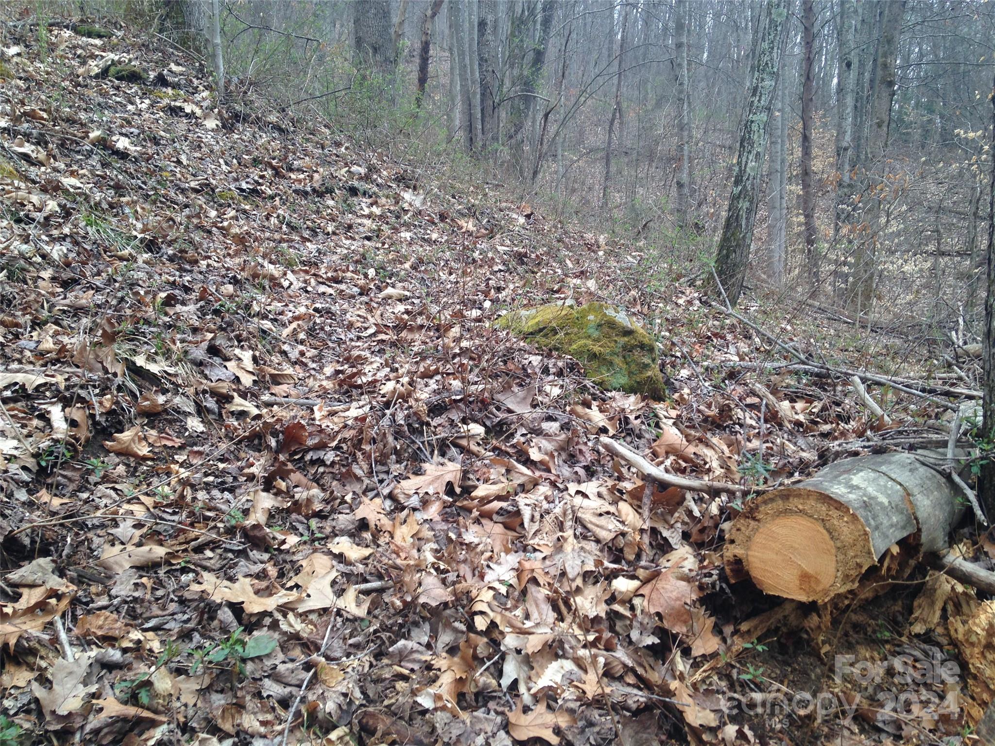 8 Worley Cove Road Canton NC 28716