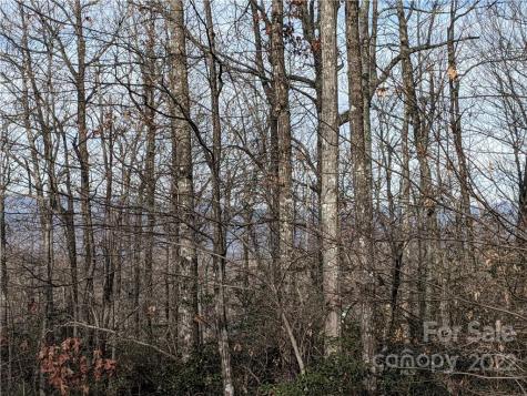 Lot 13 Rolling Ridge Trail Black Mountain NC 28711