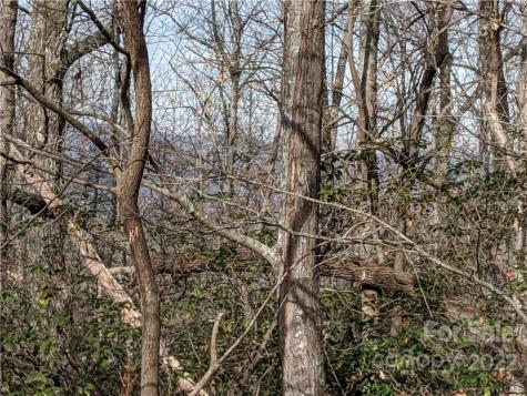Lot 13 Rolling Ridge Trail Black Mountain NC 28711