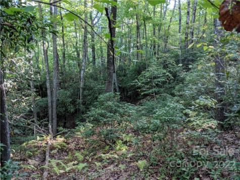 Lot 13 Rolling Ridge Trail Black Mountain NC 28711