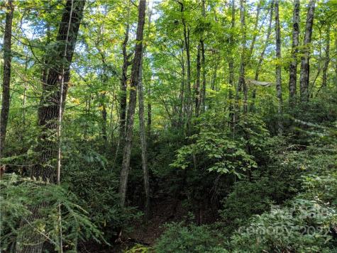 Lot 13 Rolling Ridge Trail Black Mountain NC 28711