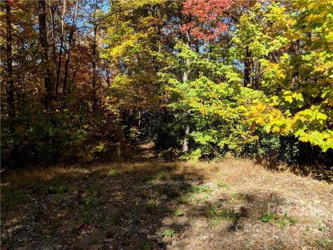 Lot 13 Rolling Ridge Trail Black Mountain NC 28711