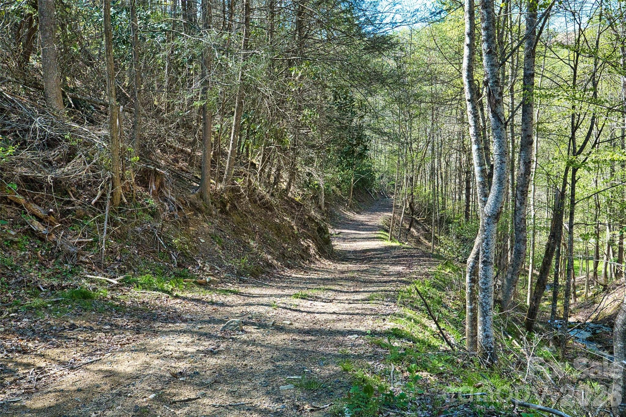 2180 Pigeon Roost Road Green Mountain NC 28740