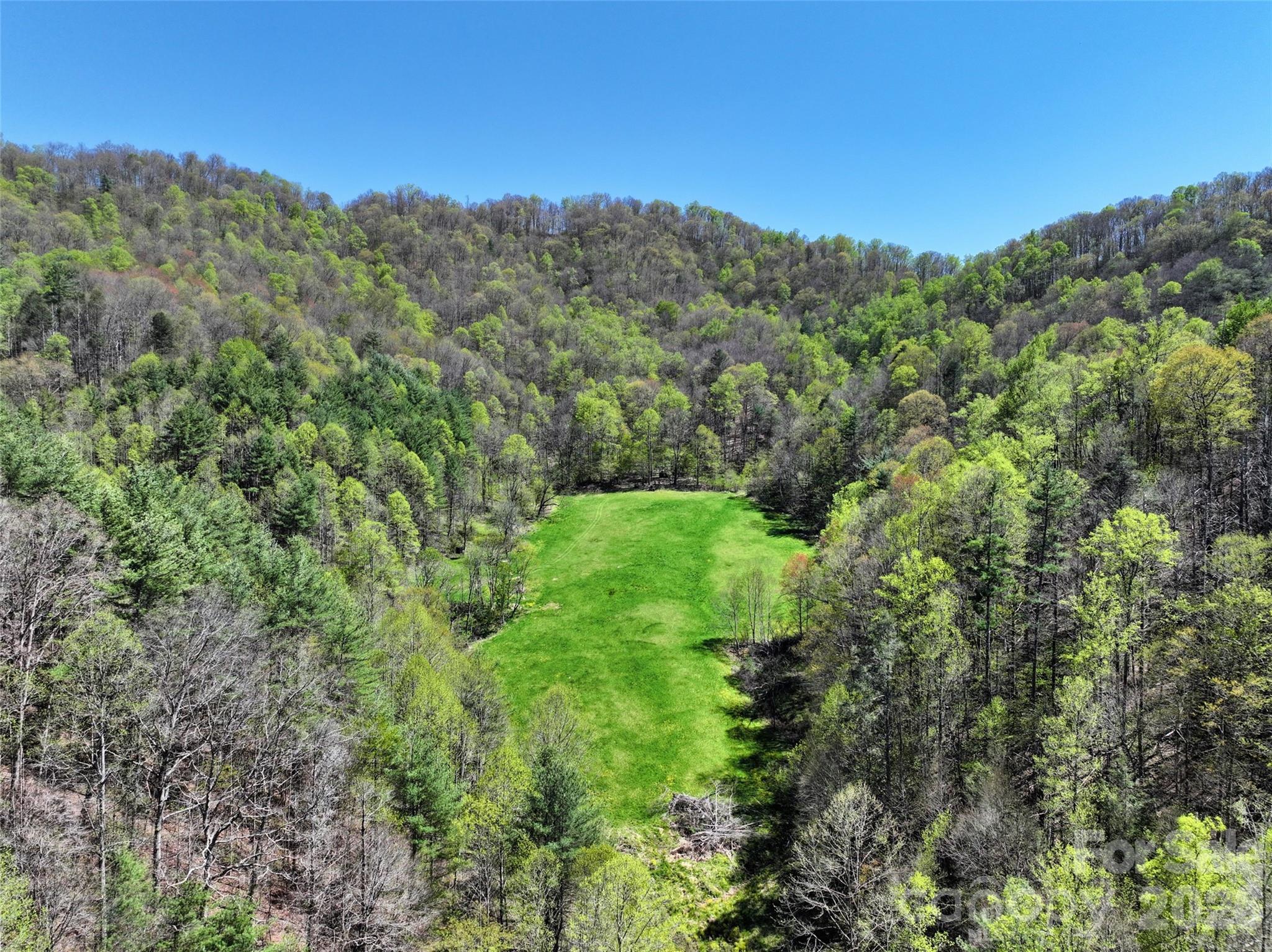 2180 Pigeon Roost Road Green Mountain NC 28740