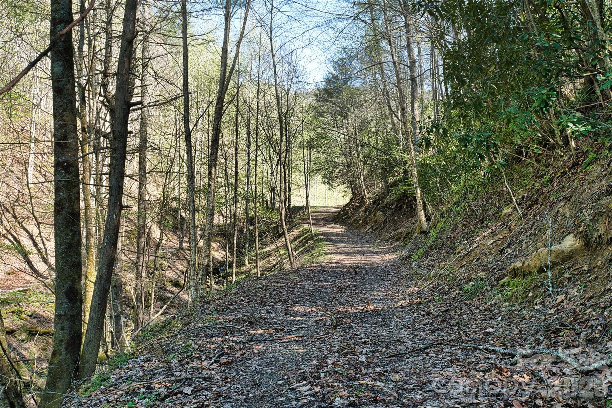 2180 Pigeon Roost Road Green Mountain NC 28740
