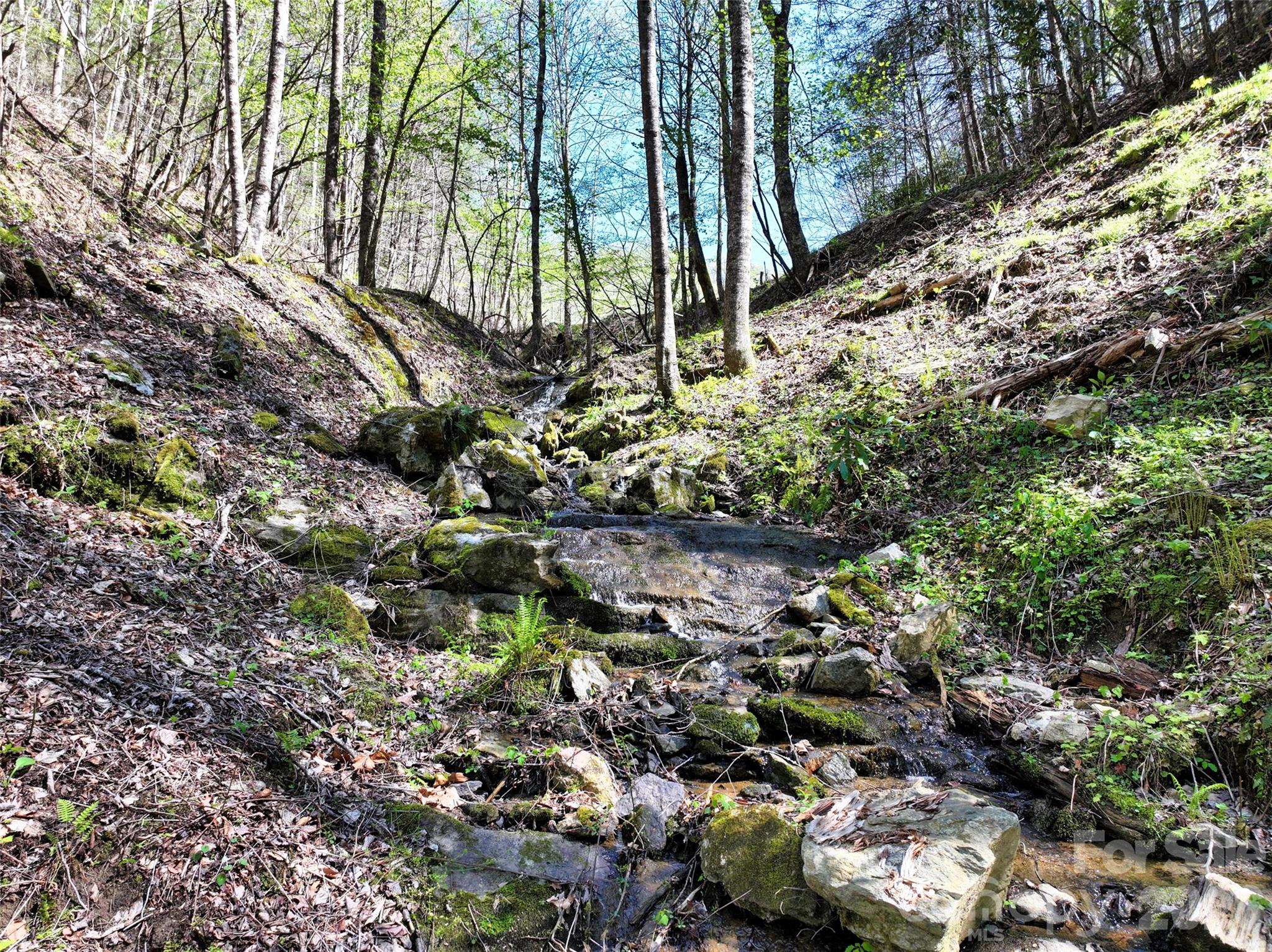 2180 Pigeon Roost Road Green Mountain NC 28740