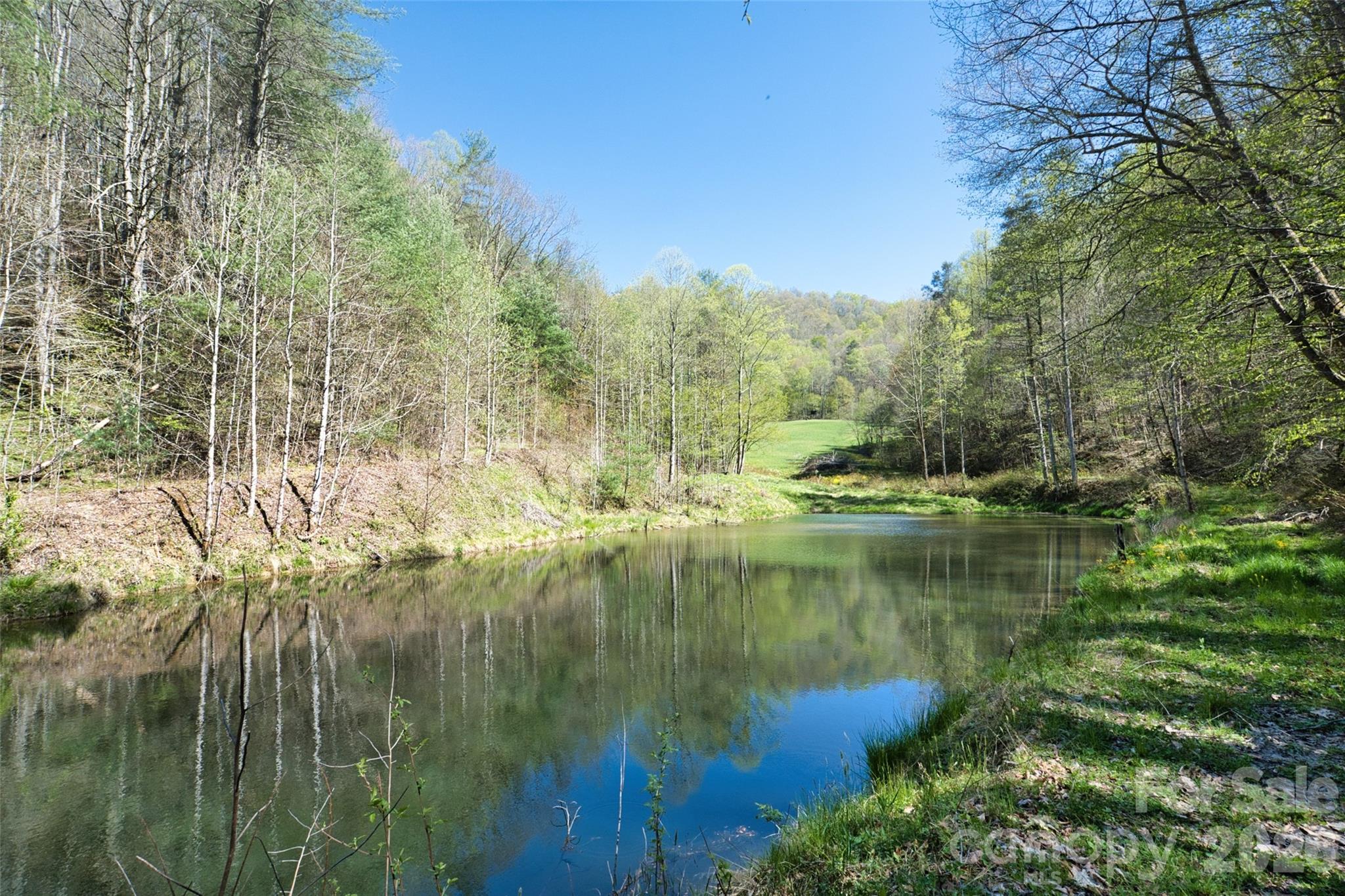 2180 Pigeon Roost Road Green Mountain NC 28740