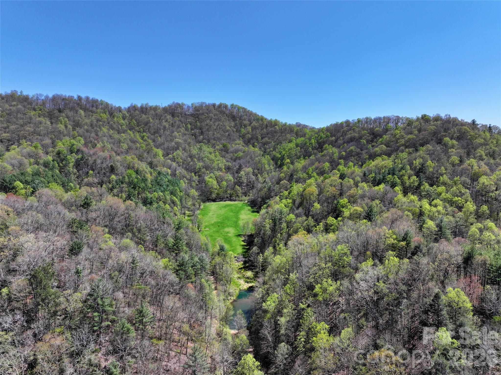 2180 Pigeon Roost Road Green Mountain NC 28740