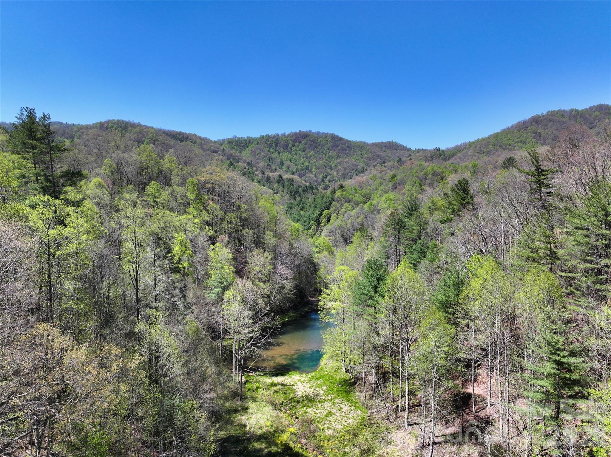 2180 Pigeon Roost Road Green Mountain NC 28740