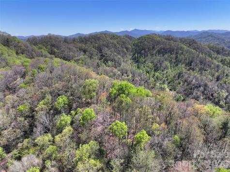 2180 Pigeon Roost Road Green Mountain NC 28740