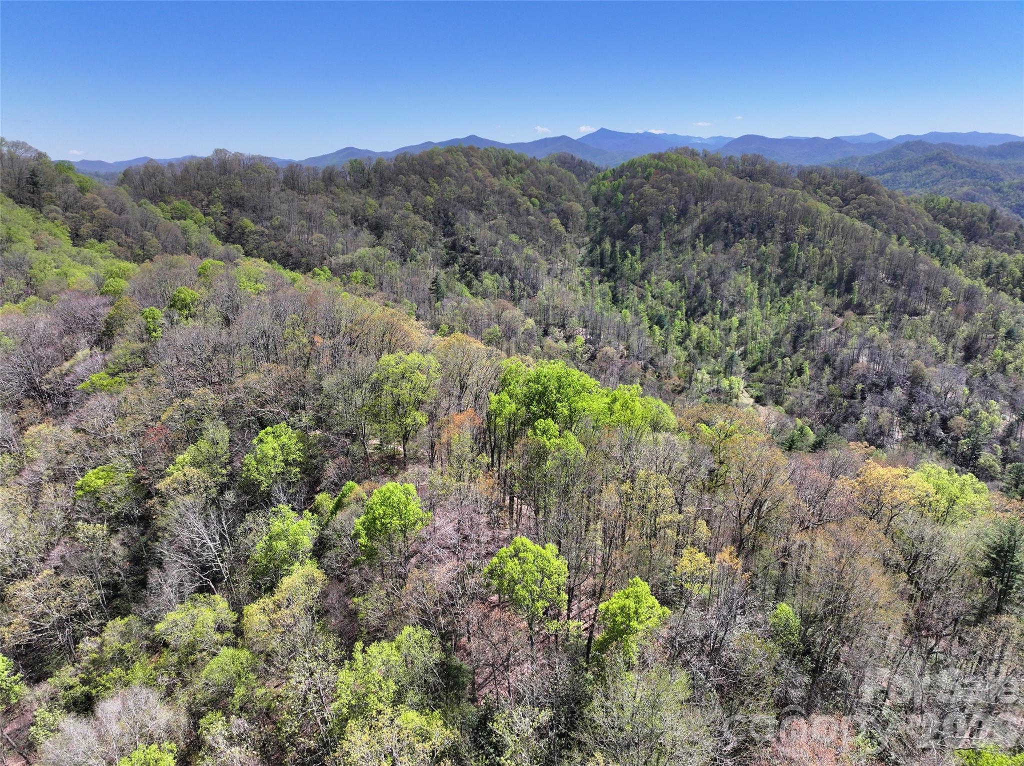 2180 Pigeon Roost Road Green Mountain NC 28740