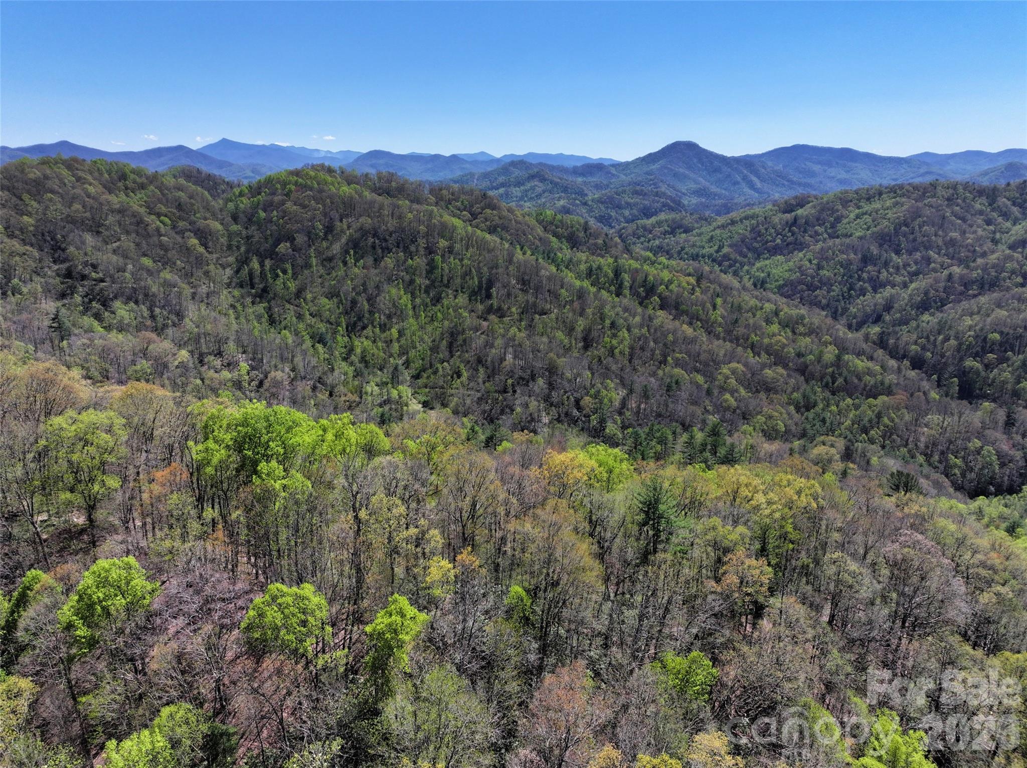 2180 Pigeon Roost Road Green Mountain NC 28740