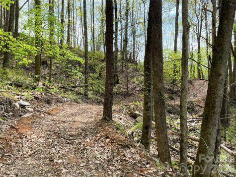 2180 Pigeon Roost Road Green Mountain NC 28740