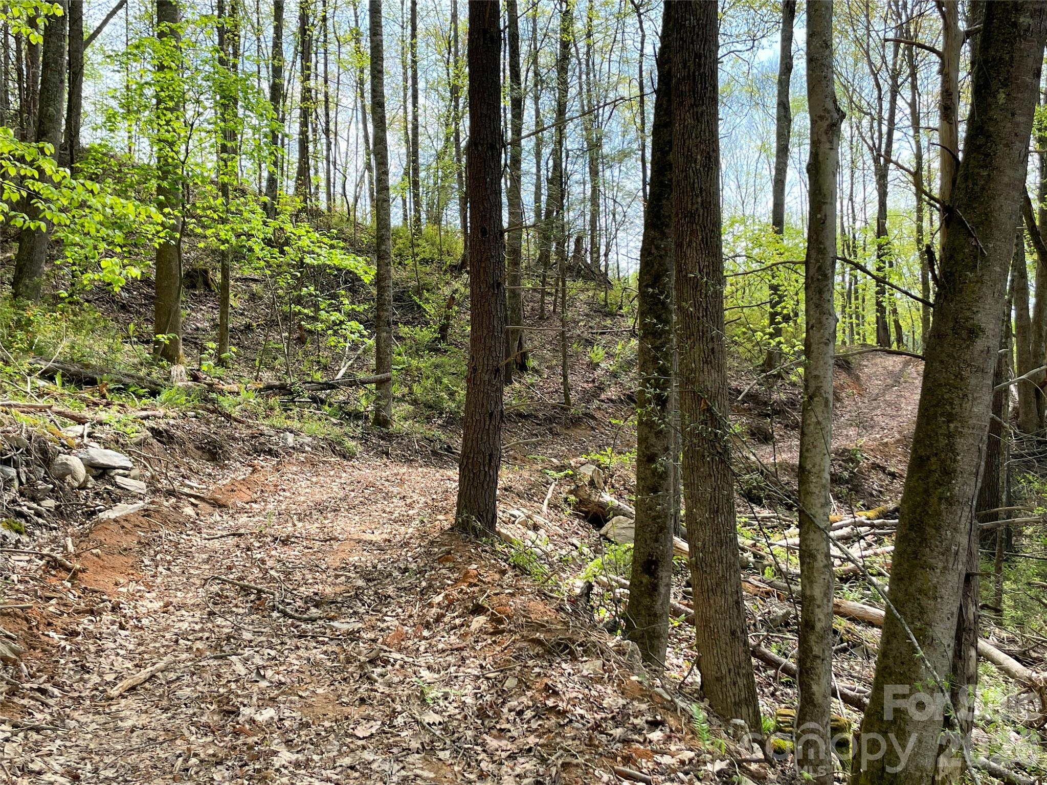 2180 Pigeon Roost Road Green Mountain NC 28740