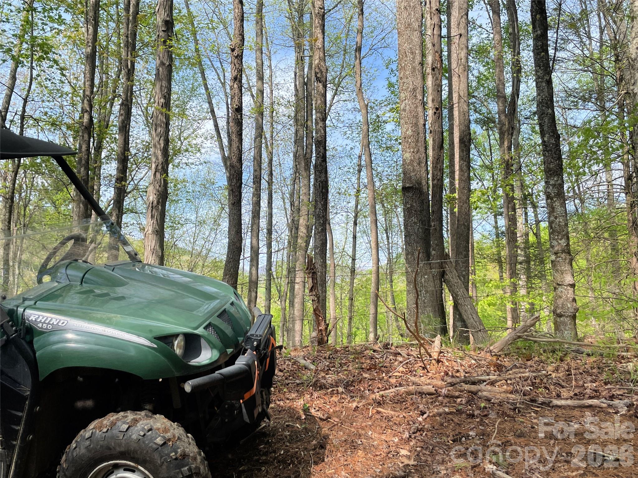 2180 Pigeon Roost Road Green Mountain NC 28740