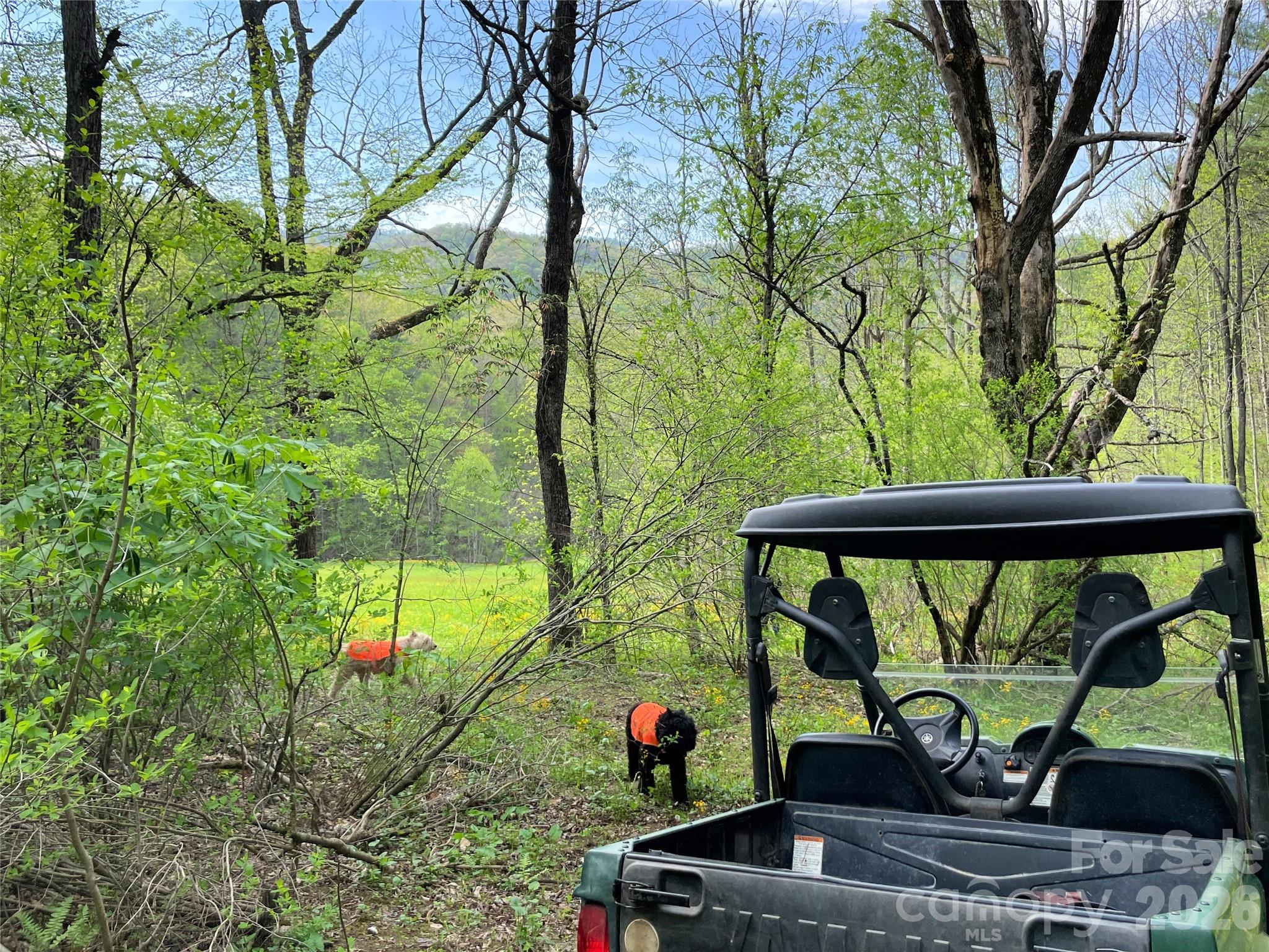 2180 Pigeon Roost Road Green Mountain NC 28740
