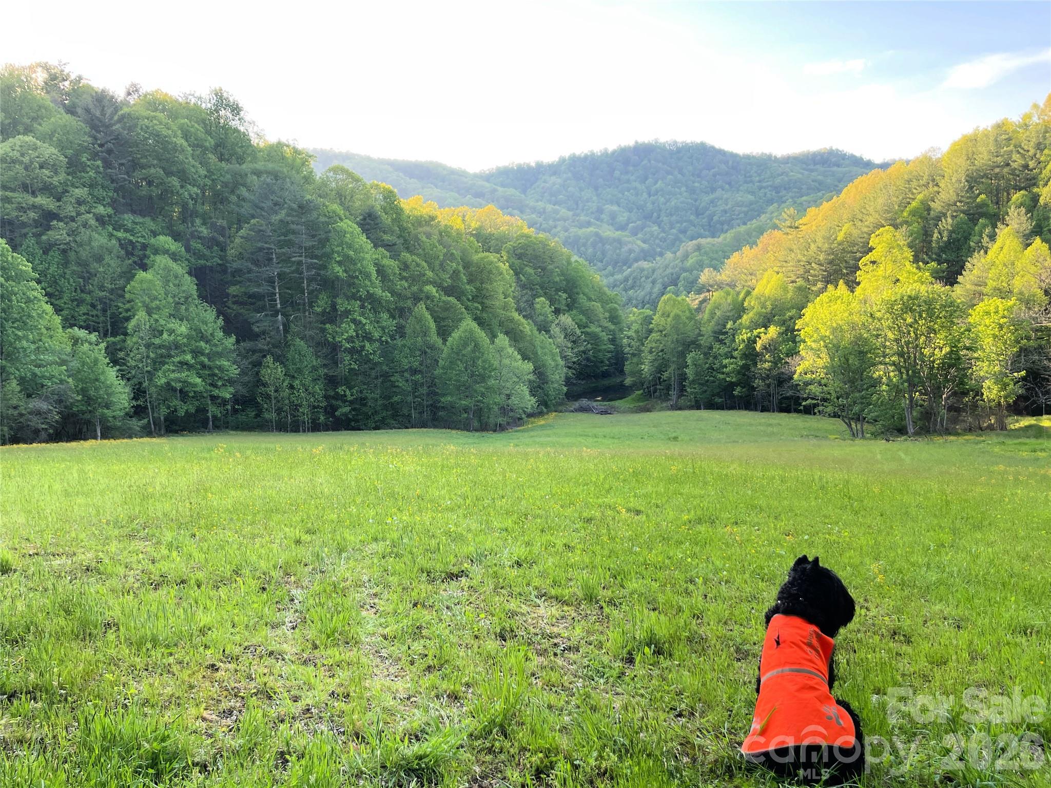 2180 Pigeon Roost Road Green Mountain NC 28740