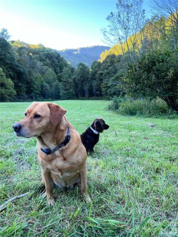2180 Pigeon Roost Road Green Mountain NC 28740