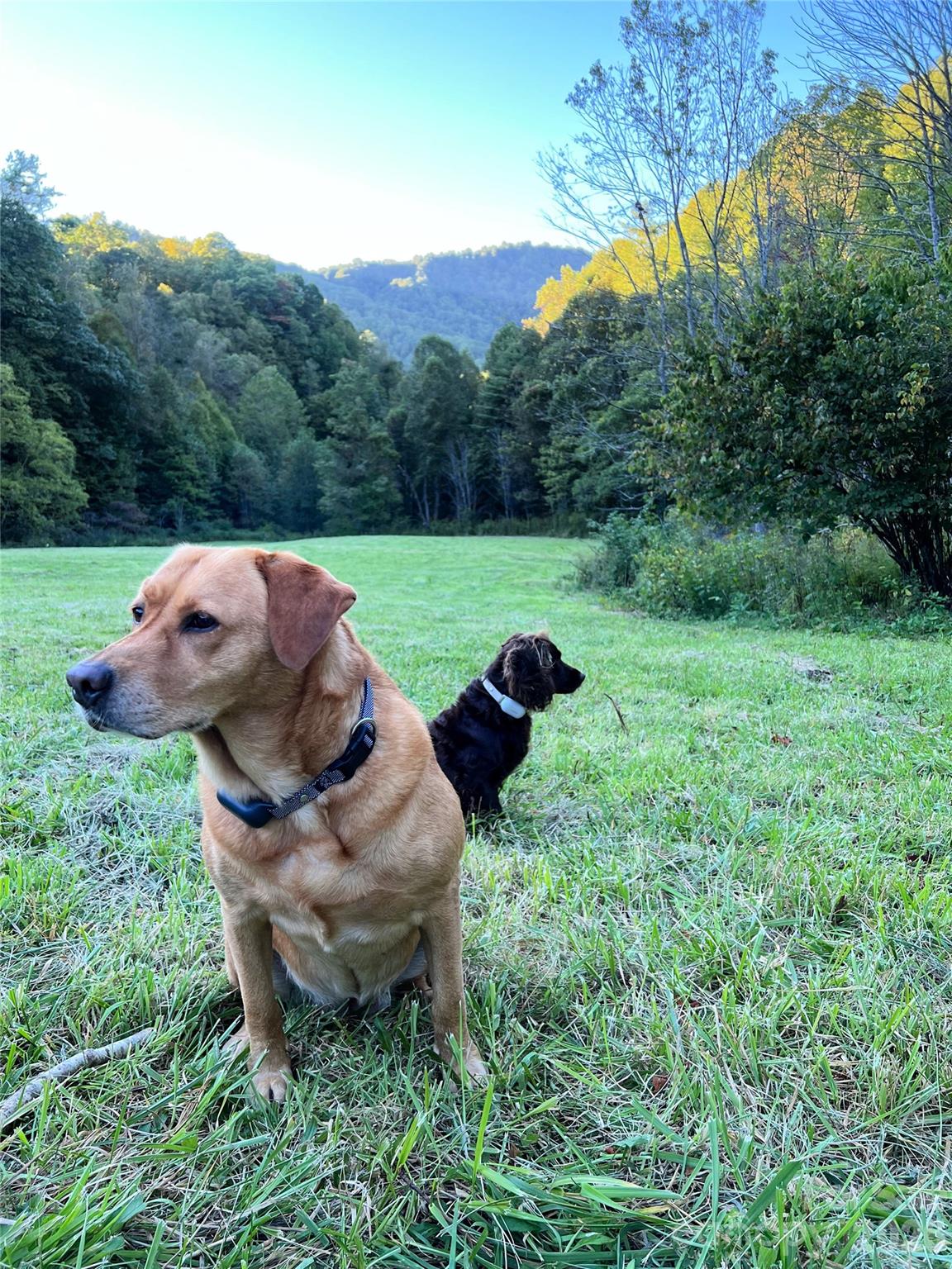 2180 Pigeon Roost Road Green Mountain NC 28740