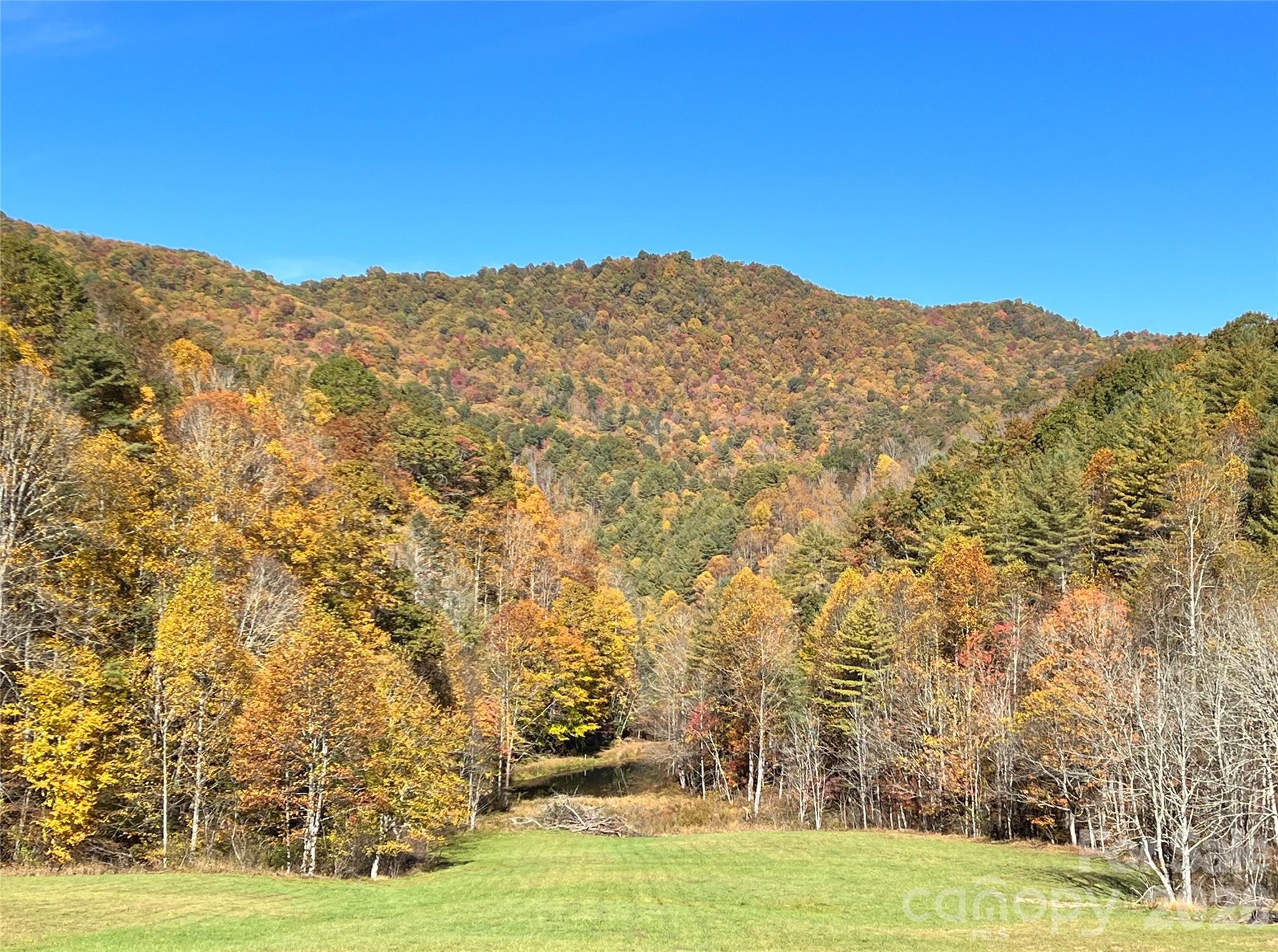 2180 Pigeon Roost Road Green Mountain NC 28740