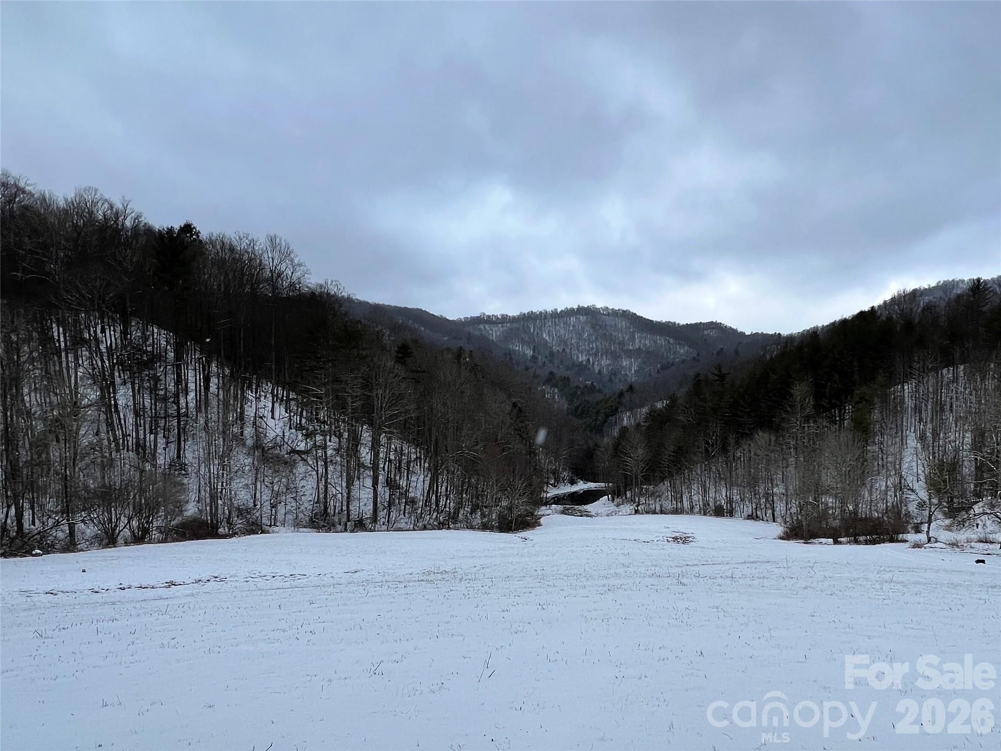 2180 Pigeon Roost Road Green Mountain NC 28740