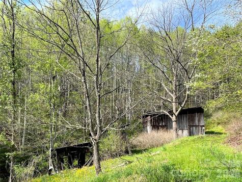 2180 Pigeon Roost Road Green Mountain NC 28740