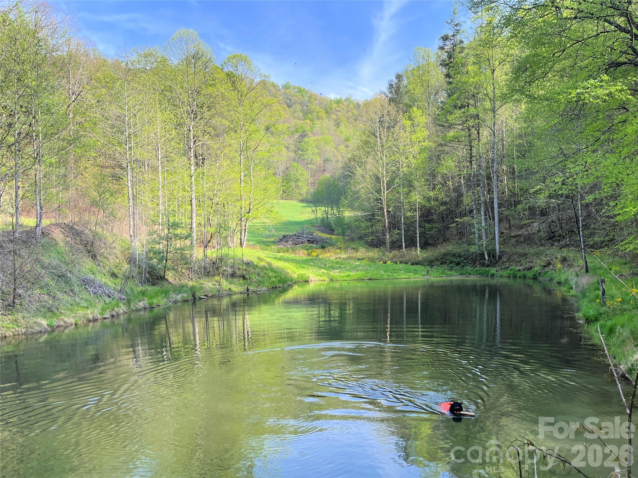2180 Pigeon Roost Road Green Mountain NC 28740