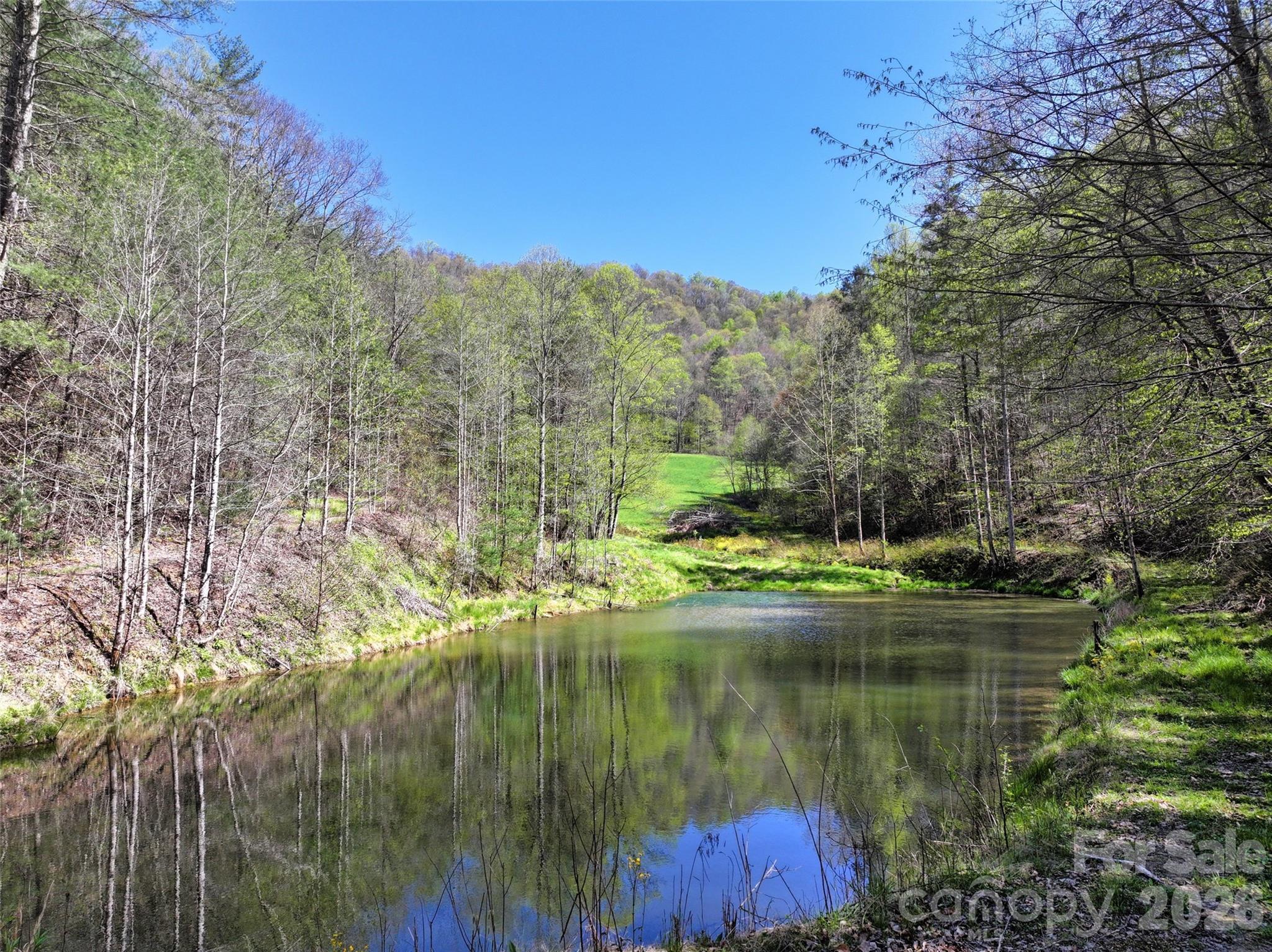 2180 Pigeon Roost Road Green Mountain NC 28740