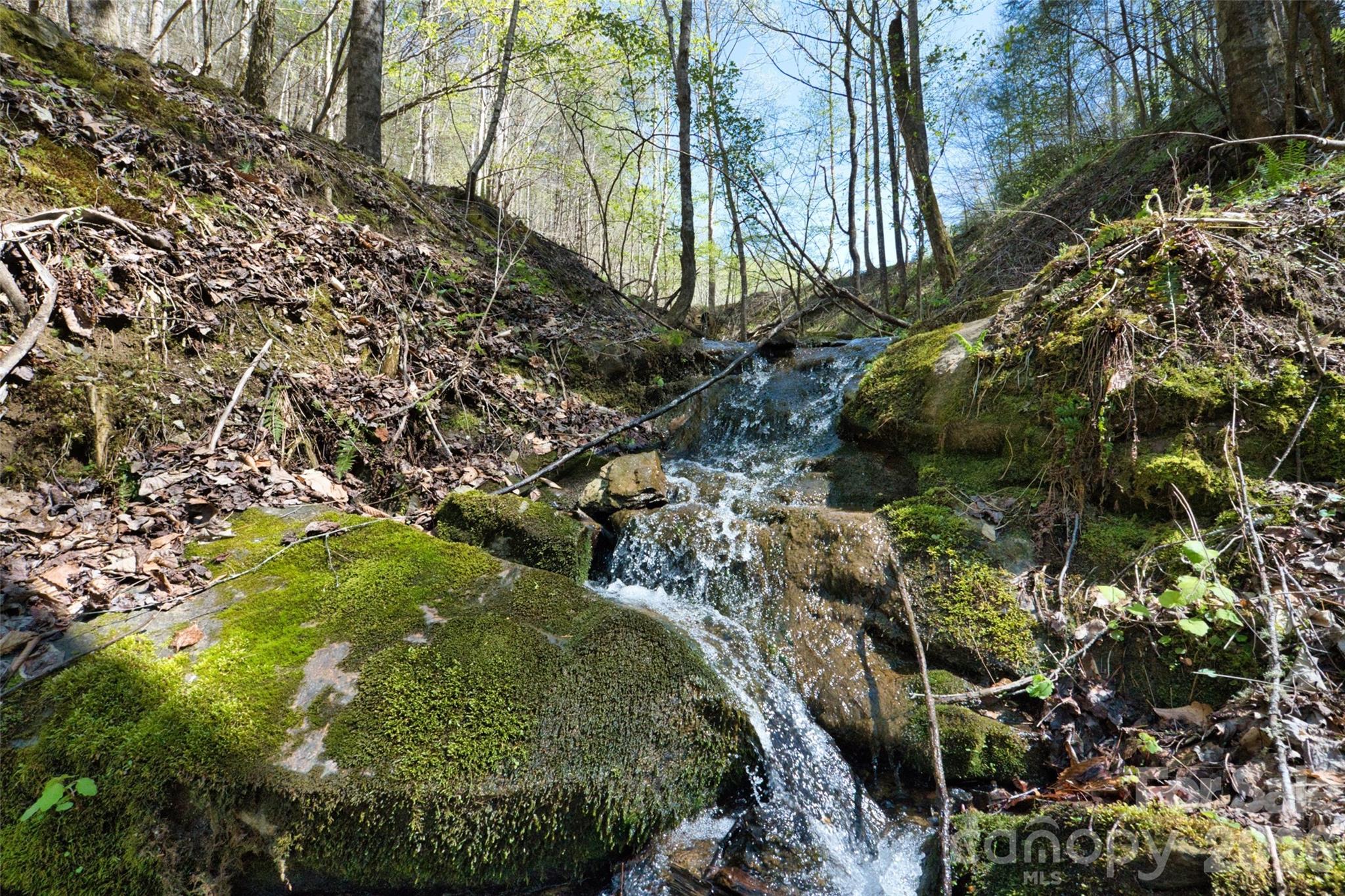 2180 Pigeon Roost Road Green Mountain NC 28740