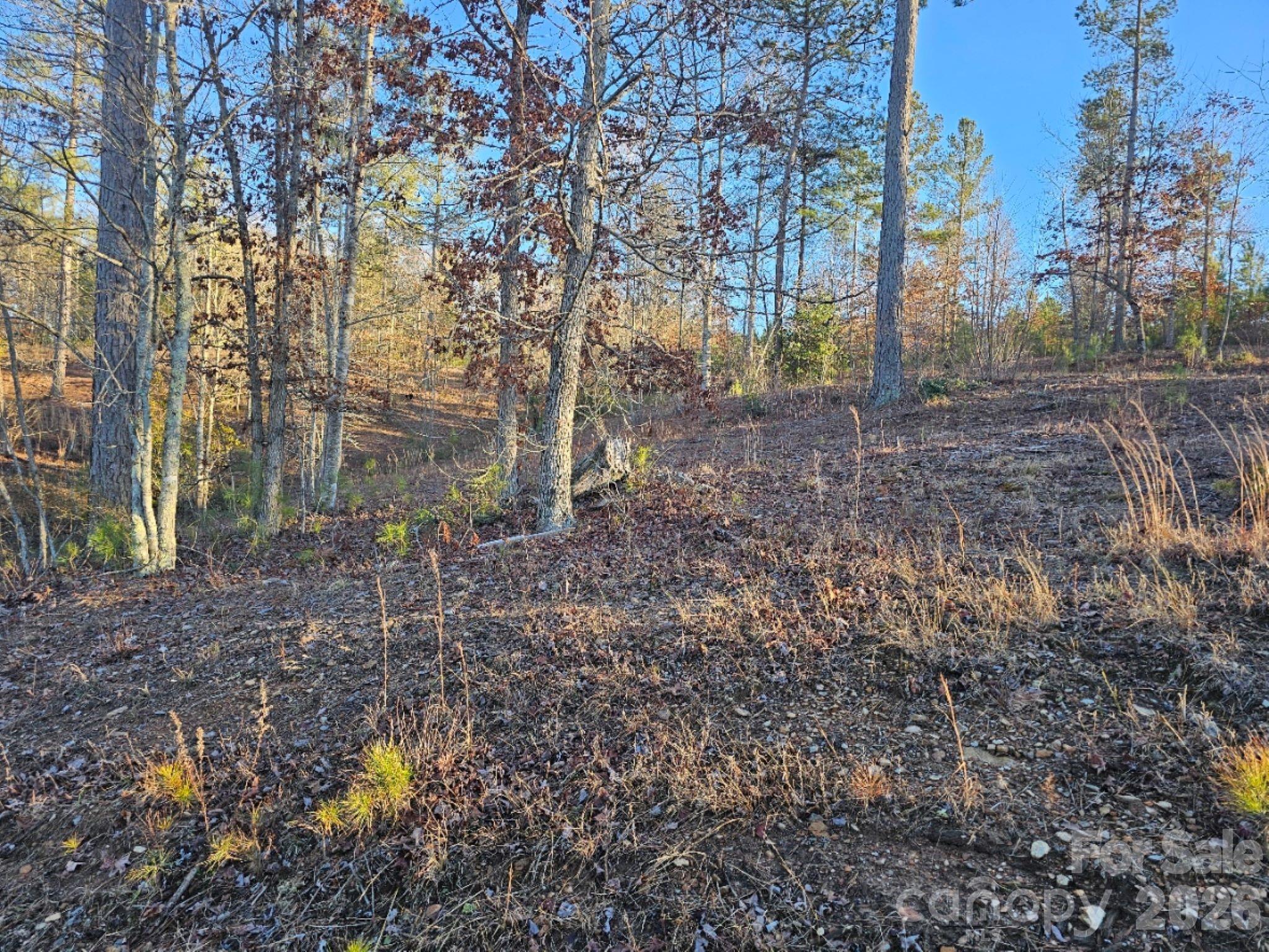 2167 Inlet Shore Road NE Connelly Springs NC 28612