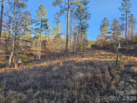 2167 Inlet Shore Road NE Connelly Springs NC 28612