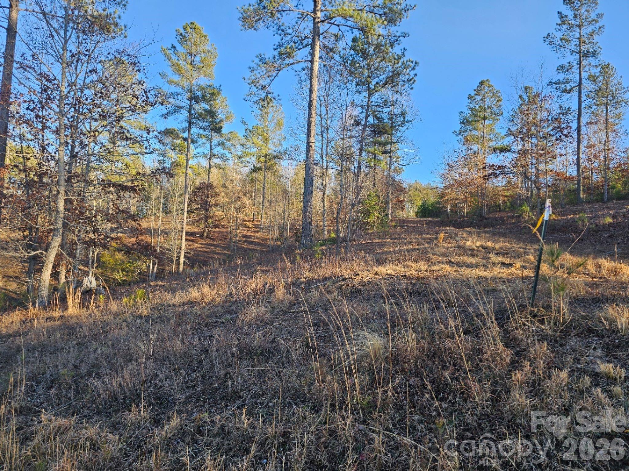 2167 Inlet Shore Road NE Connelly Springs NC 28612