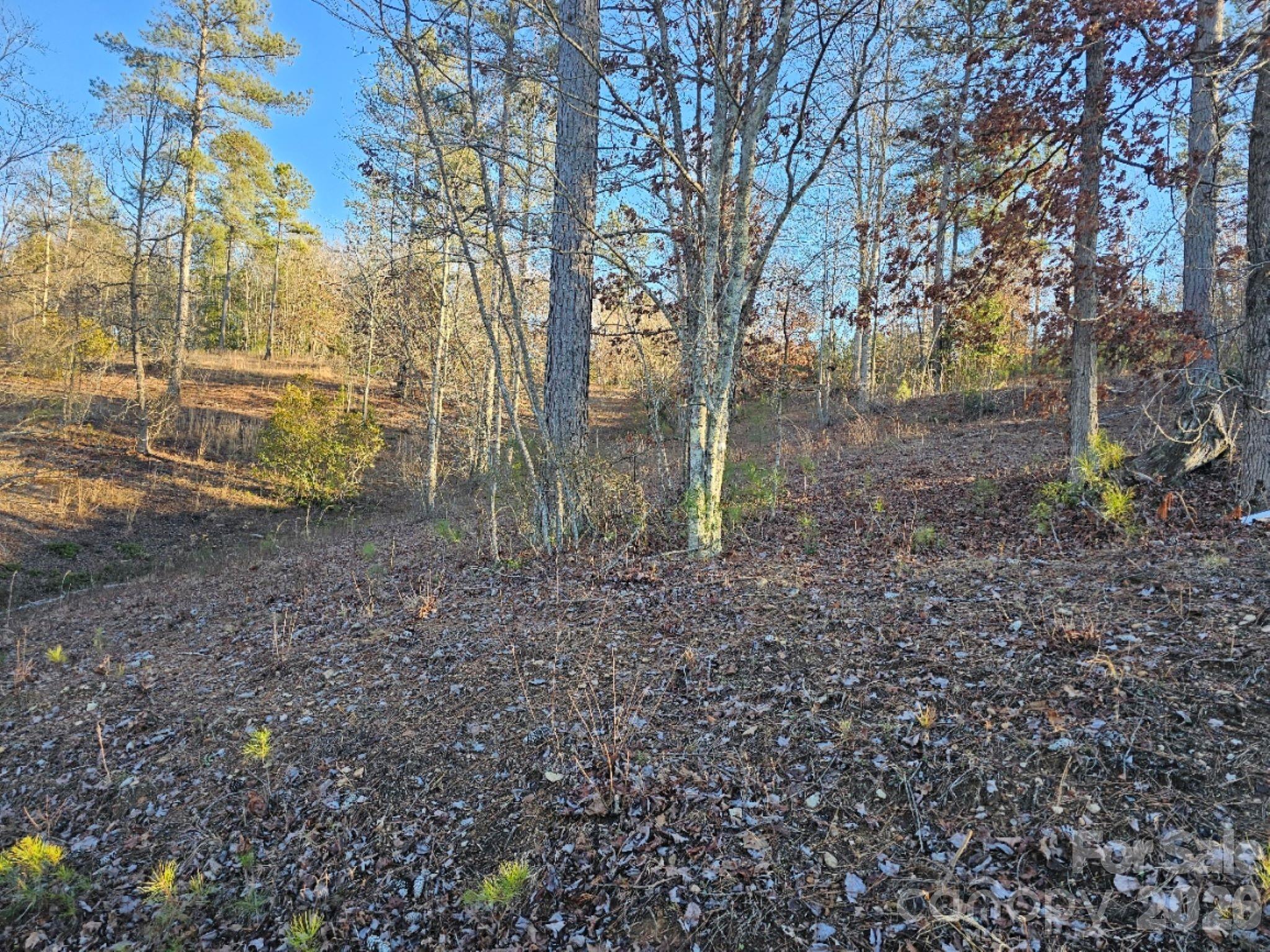 2167 Inlet Shore Road NE Connelly Springs NC 28612