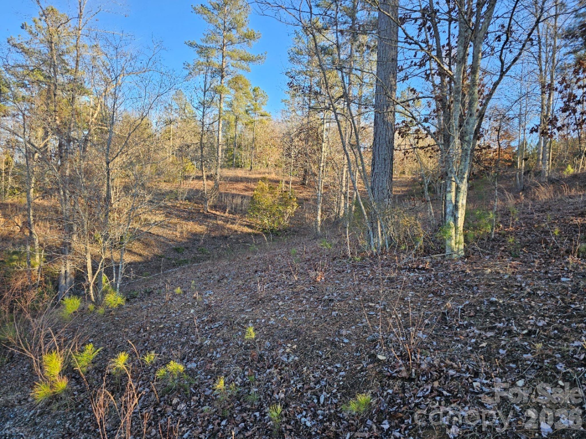 2167 Inlet Shore Road NE Connelly Springs NC 28612
