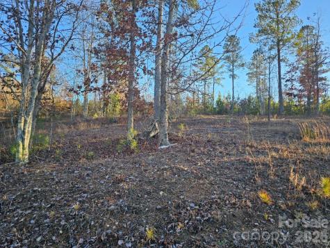2167 Inlet Shore Road NE Connelly Springs NC 28612