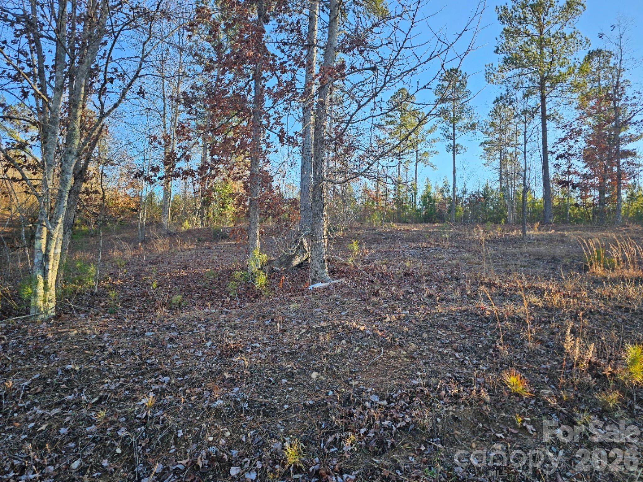 2167 Inlet Shore Road NE Connelly Springs NC 28612