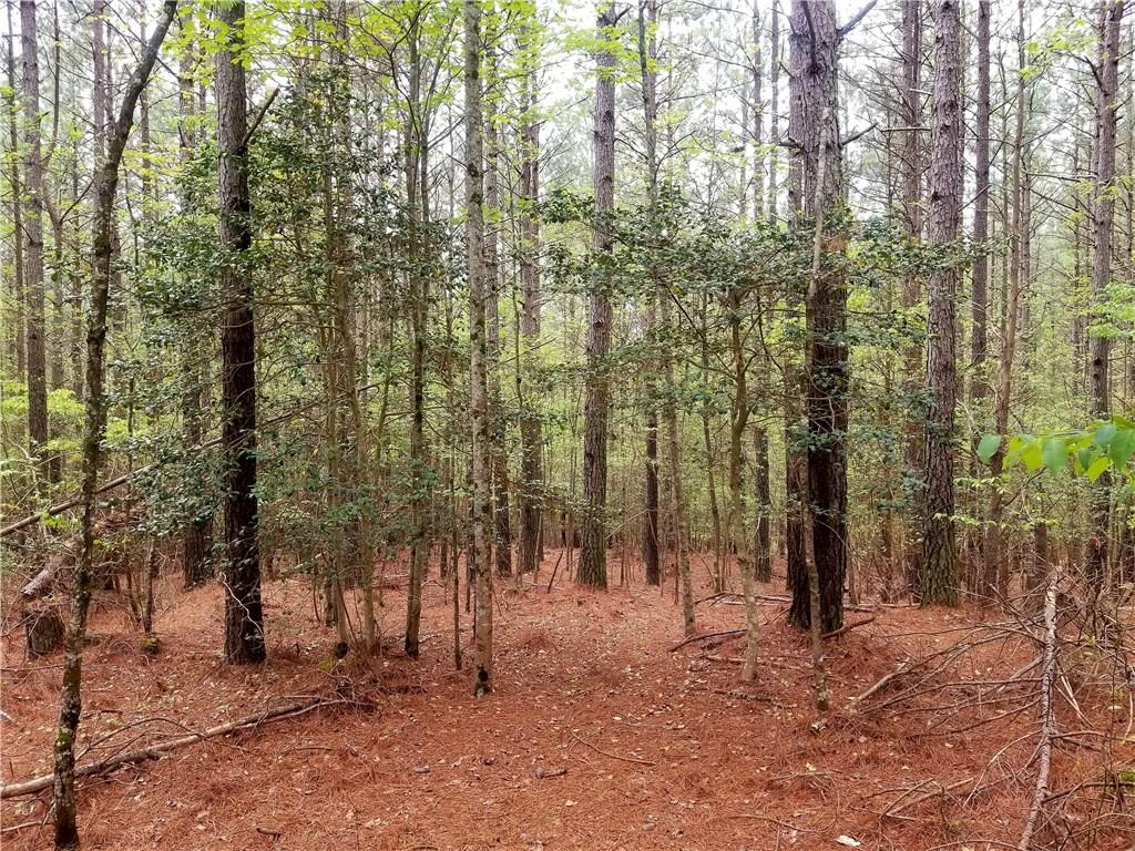 1253 Cordova Drive Connelly Springs NC 28612