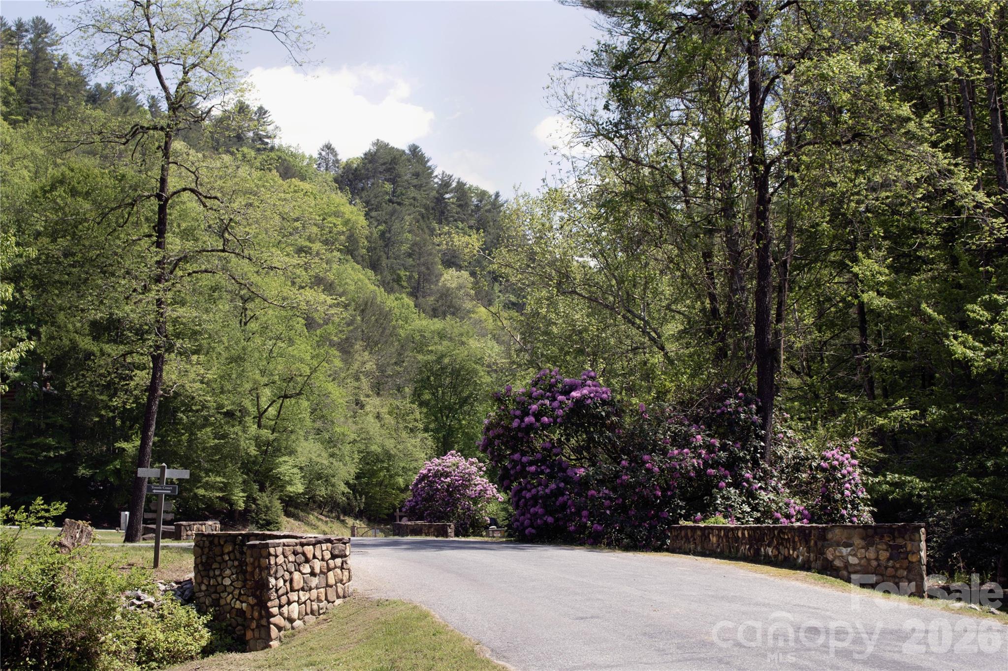 0 Big Sky Road Ferguson NC 28624